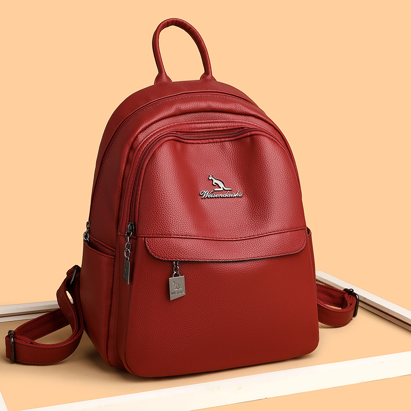 2024 neue Damen Umhängetasche  – Luxury Zipper Bags Bewertung und Preis